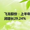 飞龙股份：上半年净利润增长29.24%