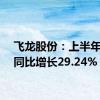 飞龙股份：上半年净利同比增长29.24%