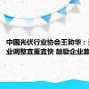 中国光伏行业协会王勃华：光伏行业调整宜重宜快 鼓励企业兼并重组