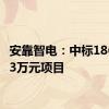 安靠智电：中标1860.863万元项目