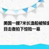 美国一艘7米长渔船被鲸鱼撞翻，目击者拍下惊险一幕