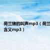 荷兰猪的叫声mp3（荷兰猪叫声含义mp3）