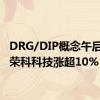 DRG/DIP概念午后异动 荣科科技涨超10%