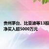 贵州茅台、比亚迪等13股获融资净买入超5000万元