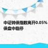 中证转债指数高开0.05% 赛龙转债盘中临停