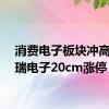 消费电子板块冲高，达瑞电子20cm涨停