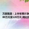 万辰集团：上半年预计净利润为80万元至120万元 同比扭亏