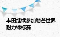 丰田继续参加勒芒世界耐力锦标赛