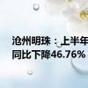 沧州明珠：上半年净利同比下降46.76%