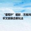 “葡萄IP”崛起，无锡鸿山解锁农文旅融合新玩法