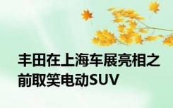 丰田在上海车展亮相之前取笑电动SUV