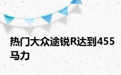 热门大众途锐R达到455马力