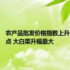 农产品批发价格指数上升0.33个点 大白菜升幅最大