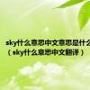 sky什么意思中文意思是什么意思啊（sky什么意思中文翻译）