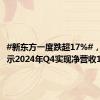 #新东方一度跌超17%#，财报显示2024年Q4实现净营收1