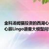 金科汤姆猫投资的西湖心辰旗下心辰Lingo语音大模型问世