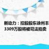 新动力：控股股东徐州丰利所持3309万股将被司法拍卖