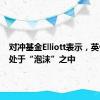 对冲基金Elliott表示，英伟达正处于“泡沫”之中