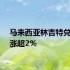 马来西亚林吉特兑美元涨超2%