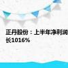 正丹股份：上半年净利润同比增长1016%