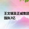 王文银及正威集团等被强执3亿