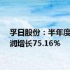 孚日股份：半年度净利润增长75.16%