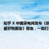 知乎 X 中国家电网发布《新职人消暑好物图鉴》报告，一起打造