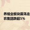 养殖业板块震荡走低 神农集团跌超5%