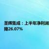 圣晖集成：上半年净利润同比下降26.07%