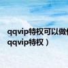 qqvip特权可以做什么（qqvip特权）