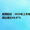 赛腾股份：2024年上半年净利润同比增长48.87%