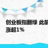 创业板指翻绿 此前一度涨超1%