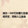 湖北一500万彩票大奖逾期未兑成弃奖，将纳入公益金