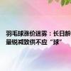 羽毛球涨价迷雾：长日龄肉鸭数量锐减致供不应“球”