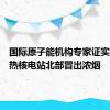 国际原子能机构专家证实扎波罗热核电站北部冒出浓烟