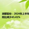 润都股份：2024年上半年净利润同比减少45.41%