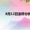 8月12日涨停分析