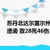 苏丹北达尔富尔州首府遭袭 致28死46伤