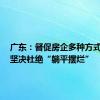 广东：督促房企多种方式自救，坚决杜绝“躺平摆烂”