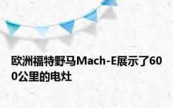 欧洲福特野马Mach-E展示了600公里的电灶