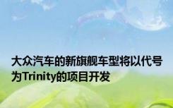 大众汽车的新旗舰车型将以代号为Trinity的项目开发