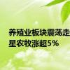 养殖业板块震荡走高 巨星农牧涨超5%