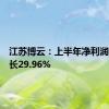 江苏博云：上半年净利润同比增长29.96%