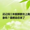 还记得三年前那群北上南归的野象吗？最新动态来了