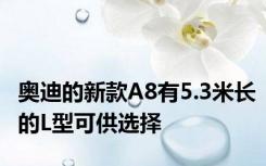 奥迪的新款A8有5.3米长的L型可供选择