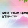 远望谷：2024年上半年净利润同比下降18.72%