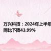 万兴科技：2024年上半年净利润同比下降43.99%