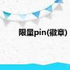 限量pin(徽章)