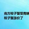 南方梭子蟹受青睐青岛梭子蟹涨价了