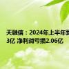 天融信：2024年上半年营收8.73亿 净利润亏损2.06亿